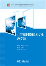 計算機網(wǎng)絡(luò)技術(shù)專業(yè)教學(xué)法 計算機技術(shù)開發(fā)的雙色路徑